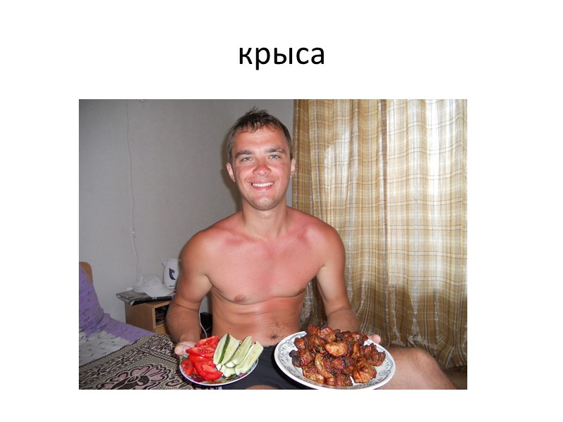 крыса